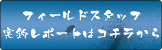 �t�B�[���h�X�^�b�t���ރ��|�[�g
