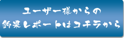 ���e�t�H�[���͂����炩��