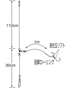 匠技 泳がせ胴突