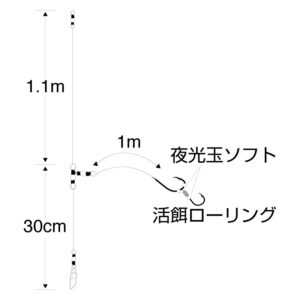 匠技 泳がせ胴突